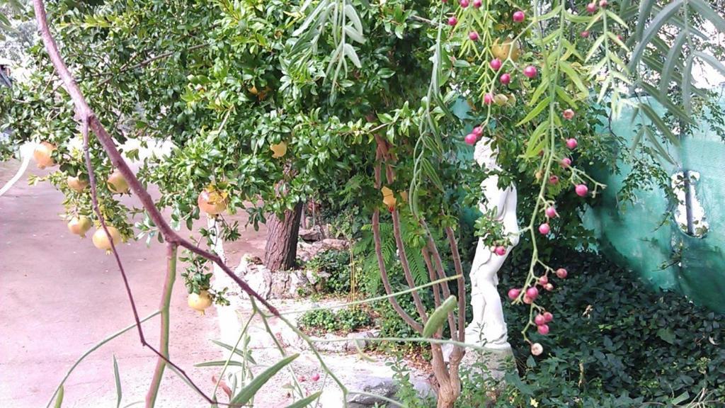 Alojamiento Rural La Caseria De Piedra Restaurante Jaén Buitenkant foto